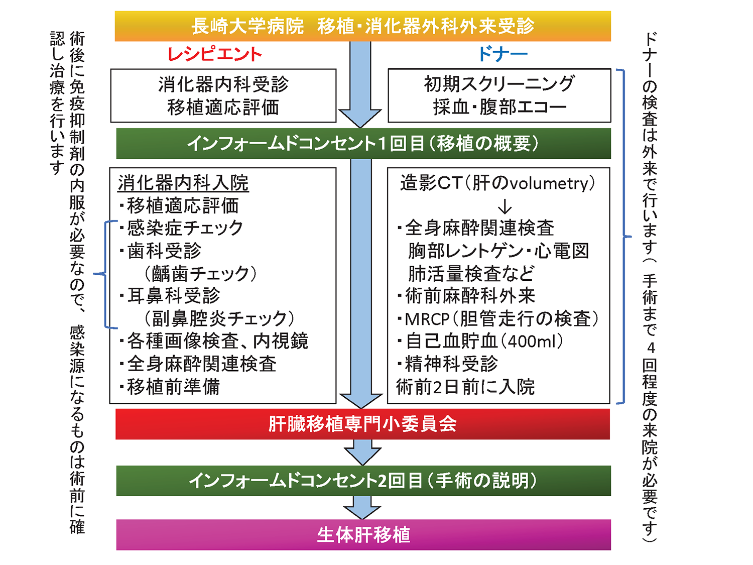 生体肝移植流れ