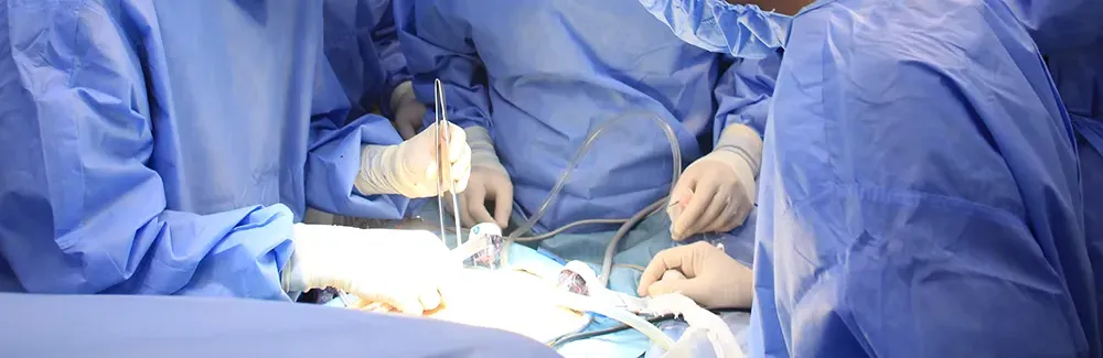 初期臨床研修プログラム